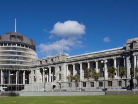 New Zealand has just selected one of the most distinct parliaments in the world. Here's how it accumulates