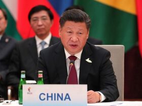 china-interested-russia-ukraine-war-xi-jinping