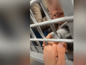 Heartbreaking Moment: Girl, 7, Cries Through Bars After Mom Arrested at Anti-War Demo in Russia