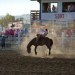 father-jumps-save-son-belton-hero