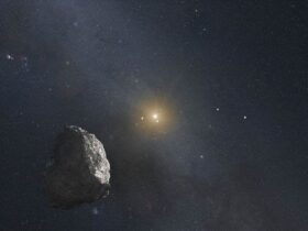 Kuiper Belt