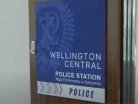 Wellington Paranormal