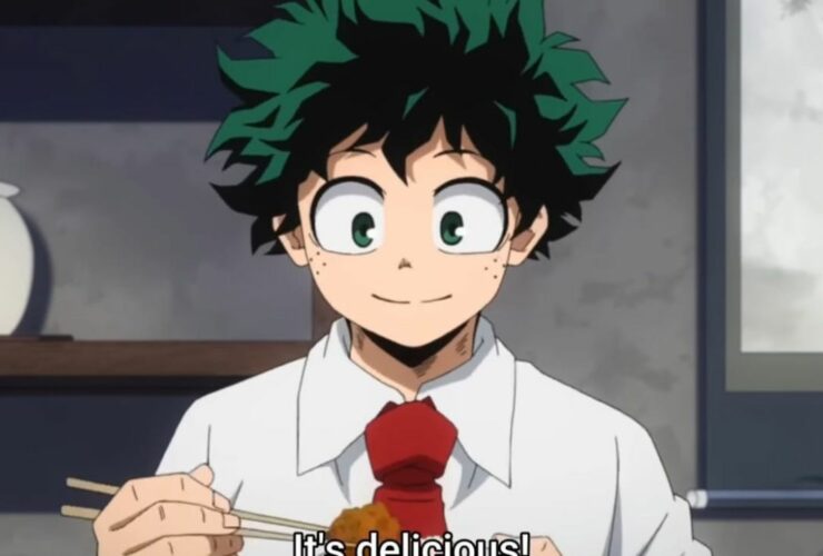 dekus hero costume 