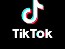 tiktok universe worth