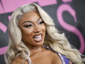 Megan Thee Stallion sued for harassment and making workplace ‘hostile’ by former cameraman
